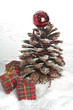 Pine cone Christmas tree in the snow Pine cone Christmas tree in the snow