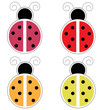 Ladybugs