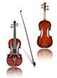 Photo: Violine Violine