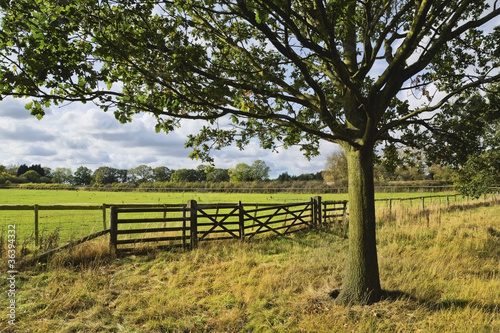 Photo: farm farm