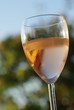 verre de vin