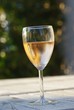 vverre de vin