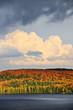 Fall forest and lake