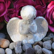Petit ange