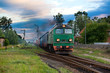 Freight diesel train