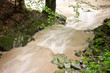 Stream after rain