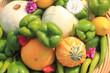Autumn vegetables