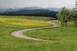 Foto: Strasse im Nirgendwo Strasse im Nirgendwo