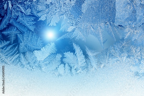 Photo: Frozen window Frozen window