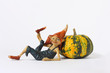 Foto: Zucca con Elfo Zucca con Elfo