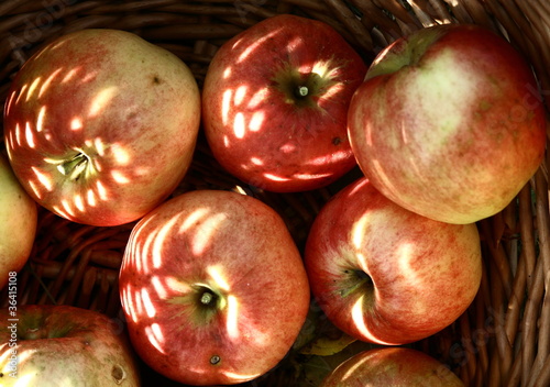 Photo: Apples in basket Apples in basket