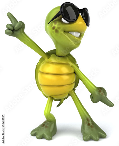 Illustration: Tortue et lunettes de soleil Tortue et lunettes de soleil