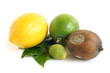 Fresh and moldy dried lemons and lime with green leaves