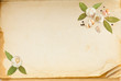 Foto: Old book page, and spices with space for your text Old book page, and spices with space for your text