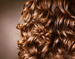 Curly Hair. Hairdressing. Wave