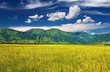 Mountain landscape
