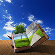 book with green landscape inside book with green landscape inside