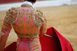 bullfighter 1