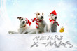 weihnachtshunde