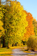 Herbst Hochformat