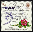 Postage stamp GB 1996 Rose and lines from poem Postage stamp GB 1996 Rose and lines from poem