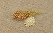 quinoa