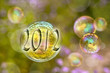 2012, bulles et nature 2012, bulles et nature