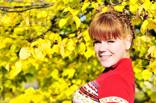 Photo: bright autumn bright autumn