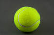 Tennis Ball