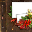beautiful autumn frame with ashberry on the old album beautiful autumn frame with ashberry on the old album