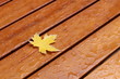 Ahornblatt liegt auf nassem Holztisch