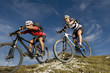 Mountainbiker in action