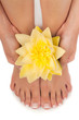 Pedicure and Manicure Spa