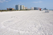 Beach coastline with a flying seagull in foreground Beach coastline with a flying seagull in foreground