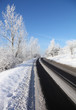 Winter road
