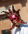 Foto: Venetian mask Venetian mask