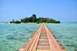 Bridge to the Tropical Island