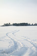 Winter season