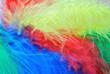 Piume colorate