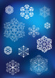 White snowflakes for winter design