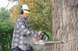 Man cutting log into sections with chainsaw Man cutting log into sections with chainsaw