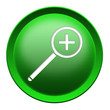 Magnifier button
