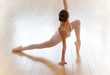 danseuse classique sur pointe danseuse classique sur pointe