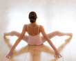 danseuse classique danseuse classique