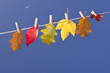 Herbstwäsche
