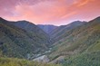 Amanecer en el bosque de Muniellos.