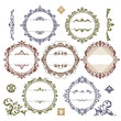 set of royal vintage frames