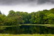 Photo: Lake landscape in a forrest Lake landscape in a forrest