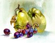 Watercolor Flora Collection: Quince and Grape