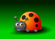 Coccinelle